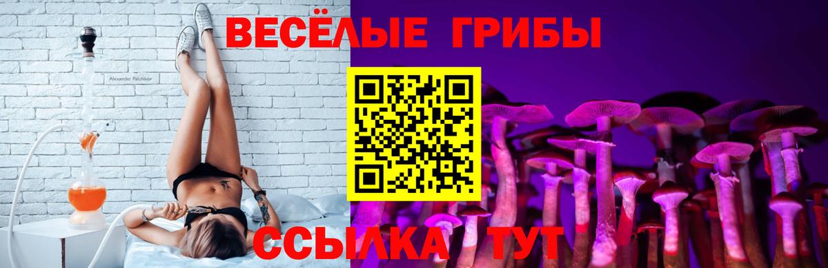 Кирово-Чепецк  Галлюциногенные грибы Psilocybe  сколько стоит  Вход с VPN 
